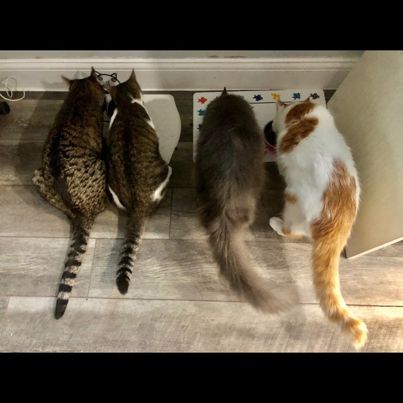 Meet your Posher, Myrna - Picture 6 of 16